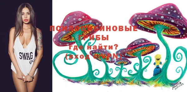 мет Вяземский