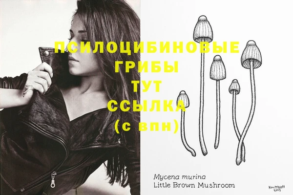 первитин Вязники