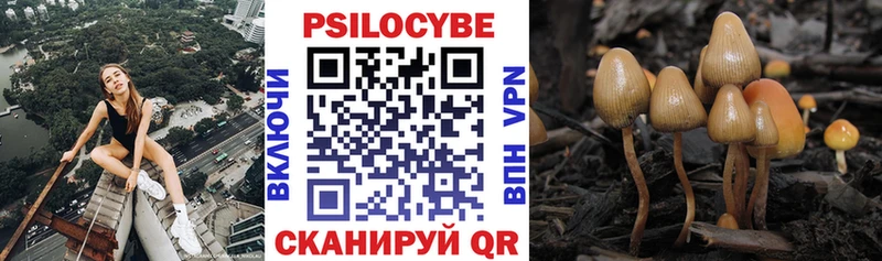 Псилоцибиновые грибы Psilocybine cubensis  Купить  Кувандык 